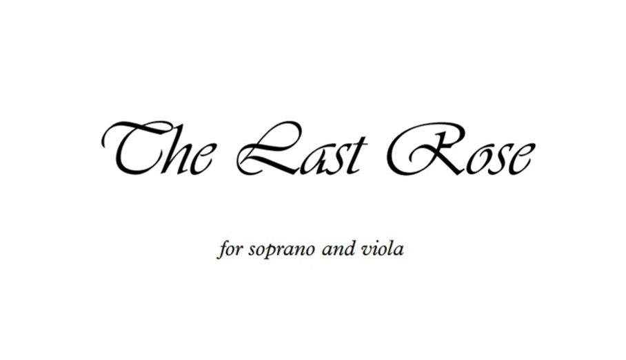 The Last Rose Viola Version